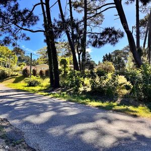 Lote De 4515m2 En Jardines De Córdoba, Zona Colegios En Venta