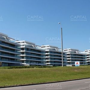 Penthouse Tiburon Terrazas