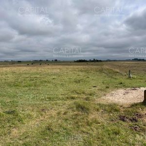 Venta Campo Sarandí Grande Florida