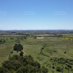 Campo  87 Has , Ideal Para Fraccionamiento De Chacras