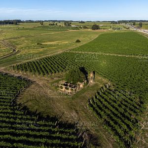 Chacras Vilaró