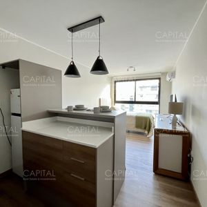 Apartamento Monoambiente Amueblado Pocitos