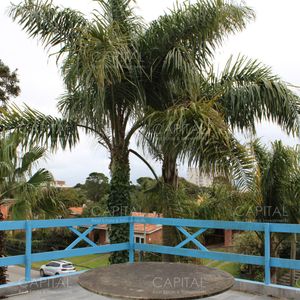 Casa En Venta De Cuatro Dormitorios En Playa Mansa