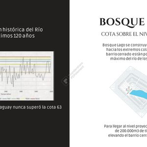 Bosque Lago