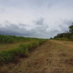 Propiedad Agropecuaria Cañera