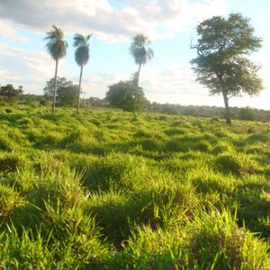Terreno Urbano En Roboré, Frente A Gasolinera