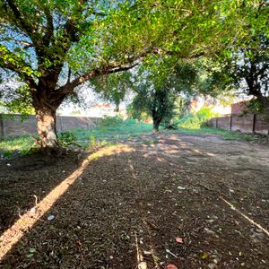 Terreno En Venta En Cotoca A Pasos De La Plaza Principal