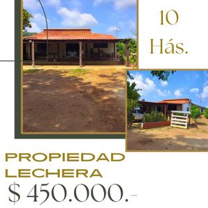Propiedad Lechera En Venta 