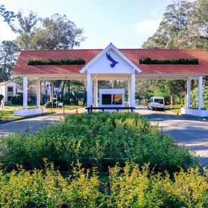 Apartamento Punta Ballena Maldonado Royalmar Ap502017  1 Dormitorios 1 Baños
