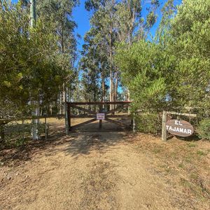 Chacra Nueva Carrara Maldonado El Tajamar Ch500926  4 Dormitorios 3 Baños