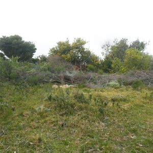 Terreno Playa Hermosa Maldonado Terreno Playa Hermosa Ruta 72 Te101101