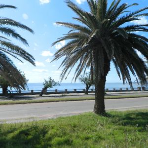Terreno Punta Fria Maldonado  Te500204
