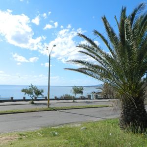 Terreno Punta Fria Maldonado  Te500205