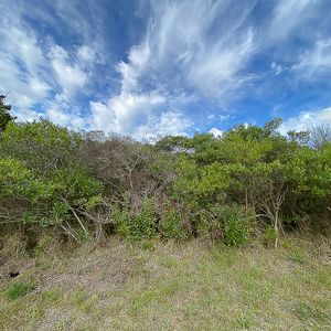 Terreno Playa Hermosa Maldonado  Te501073