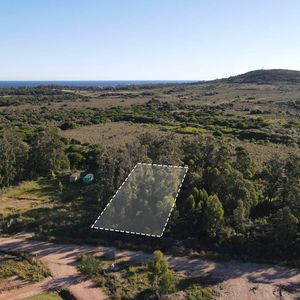 Terreno Punta Colorada Maldonado  Te502916