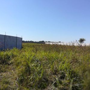 Alquiler_de_terreno_amurallado De 3.500 Mts2., (a 100 Mts. De La Tranca De Warne