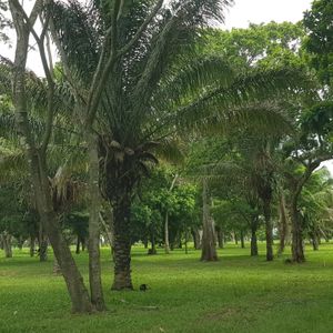 Terreno En Venta En Urbanización Cerrada 