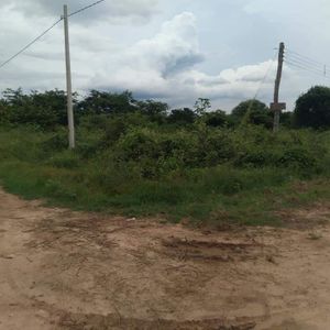 Lote De Terreno