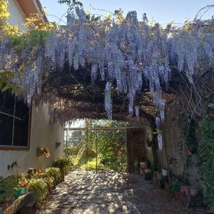 Excelente Casa En La Paz Zona Céntrica