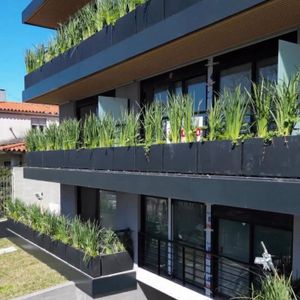 Venta Apartamento De 1 Dormitorio En Malvìn