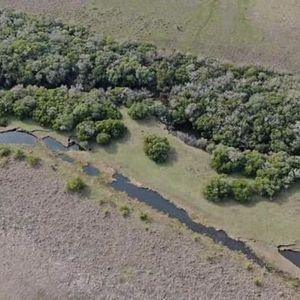 Venta De Chacra Con 46 Hectáreas De Campo En El Departament