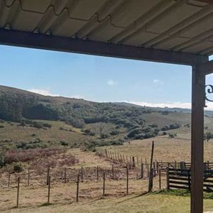 Venta De 267 Hectáreas De Campo Y Propiedad En Sierras De C