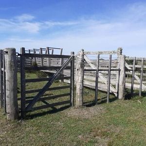 Venta De 60 Hectáreas Por Ruta 13 Paraje El Maturrango Roch