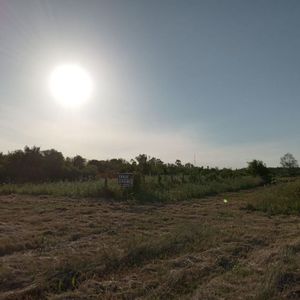 Venta Terreno 3 Hectareas