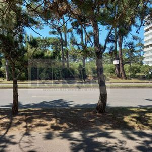 Punta Del Este Venta Terreno Brava - Av Roosevelt Próximo Al Mar- Apto Altura