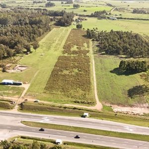 Kosak Vende – Campo De 3 Hectáreas En Bello Horizonte!!