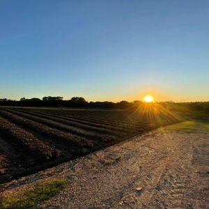 Venta Chacra 5 Ha | Zona Aeropuerto Carrasco