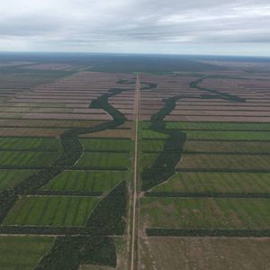 Propiedad Ganadera En Pailon 