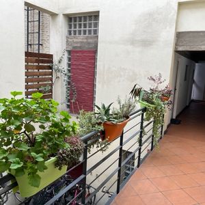 Lindo Reciclaje En Ciudad Vieja 