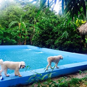 Quinta En Warnes Con 2 Casas En 1 Hectarea