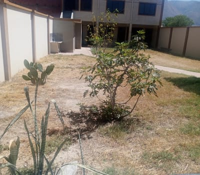 Vendo Casa159