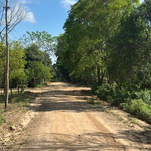 Terrenos En Venta En Buena Vista