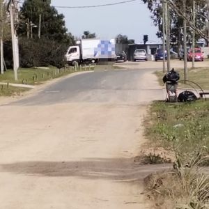 Terreno De 5.000 M2 En Alquiler A Metros De Car One