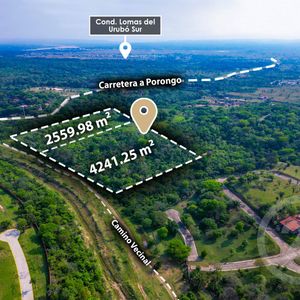 Atencion Inversionistas