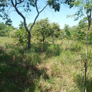 Propiedad Agricola