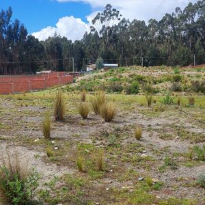 Terreno Venta Achocalla