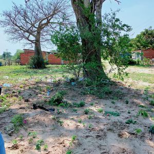 Lote En Venta De Ocasion Charlable