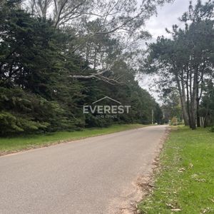 Venta Terreno En Rincón Del Indio