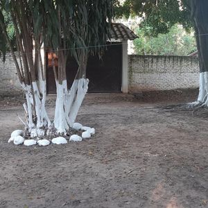 Inmueble # 113 Terreno Doble Via La Guardia