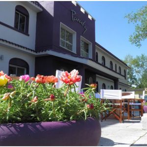 Apartamentos Disponibles En Alquiler!