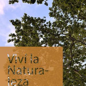 Punta Carretas, Departamentos Premium Con Ambientes Y 1 Dormitorios En Imperdible Ubicacion