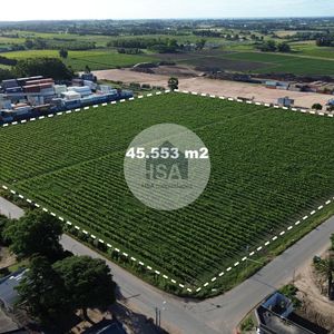 Terreno En Venta Polo Oeste
