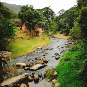 Preciosa Cabaña En Venta A Orillas De Un Rio De Aguas Cristalinas