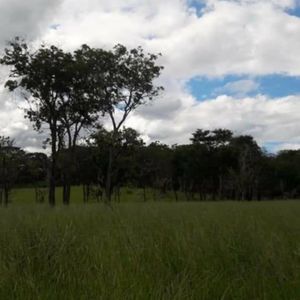 En Venta Propiedad Ganadera Precio De Oferta