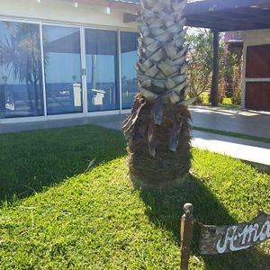 Casa Amalia -  Hermosa Casa Frente A La Playa - Piriapolis