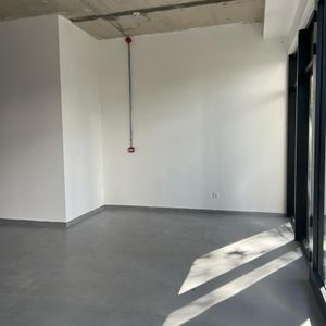 Alquiler Local Comercial En Parque Rodó